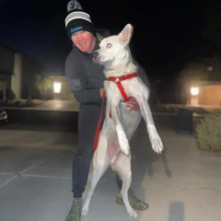 David Photo On Jungo Live