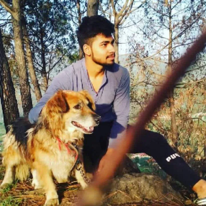 Imd Photo On Jungo Live