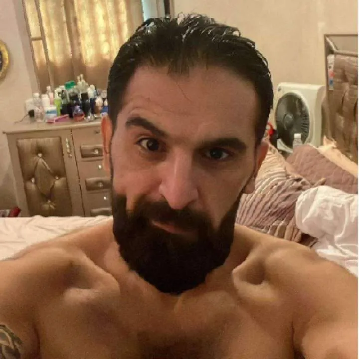 Dreamcreator Bul Photo On Jungo Live