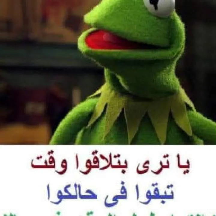 G.... Photo On Jungo Live