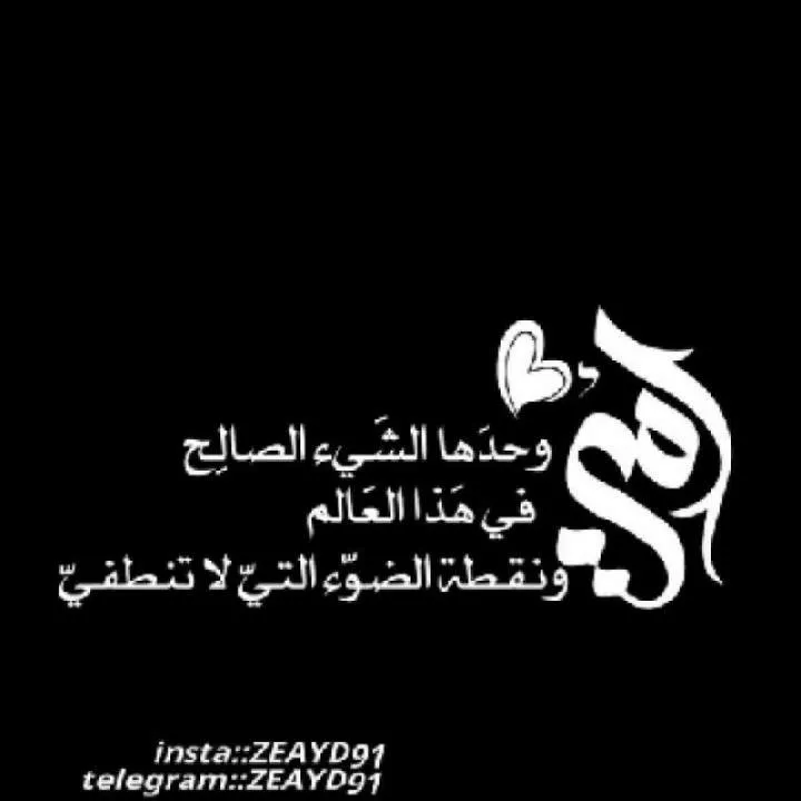 Mohamoed Mohamoud Photo On Jungo Live