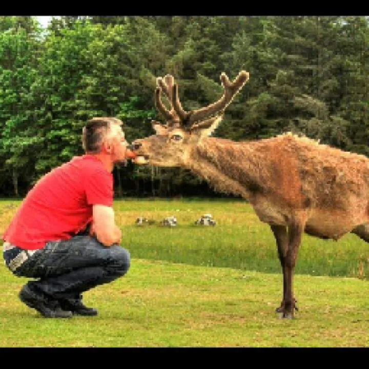 Chitek Photo On Jungo Live