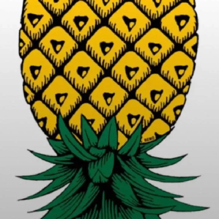 Islandcouple23 Photo On Jungo Live