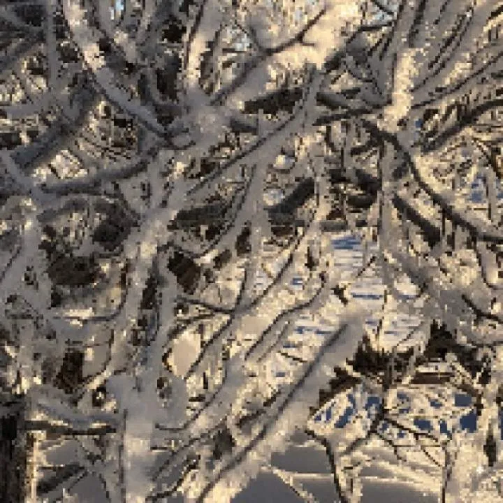 Nick Driver Photo On Jungo Live