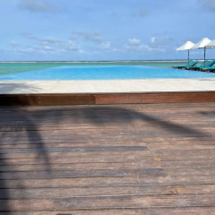 Guest Photo On Jungo Live