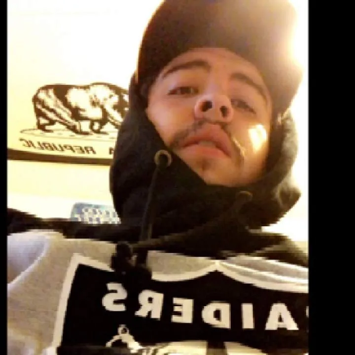 Safari Photo On Jungo Live