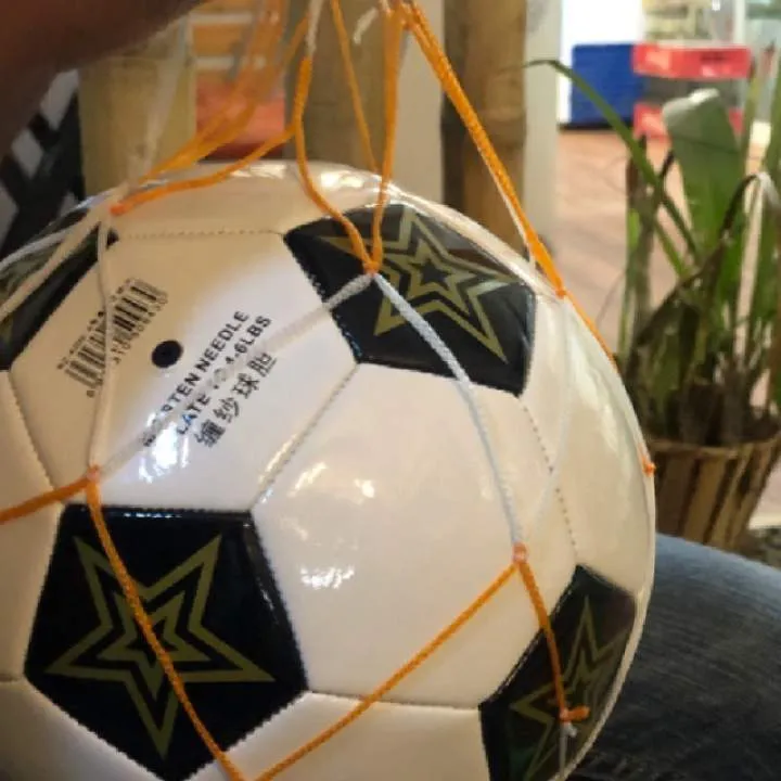 Zebra Photo On Jungo Live