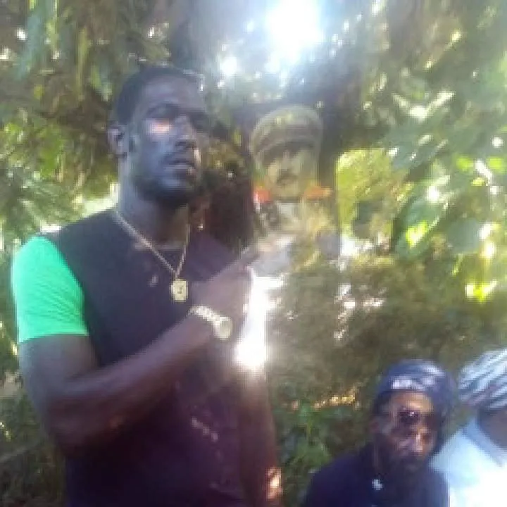 Godcock Photo On Jungo Live