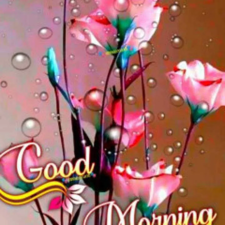 Raj Photo On Jungo Live