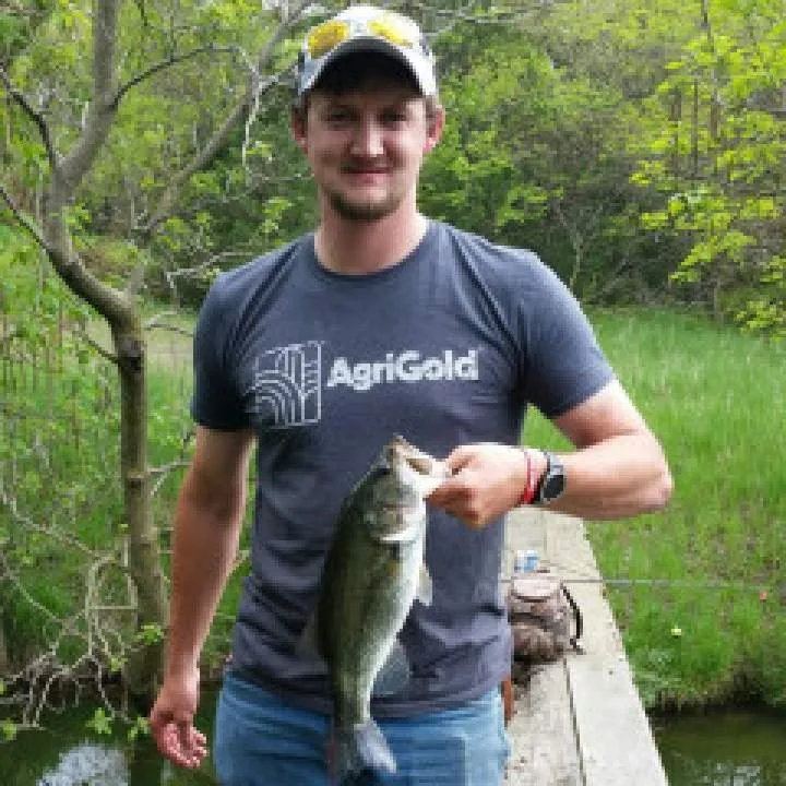 Averagejoefarmboy Photo On Jungo Live