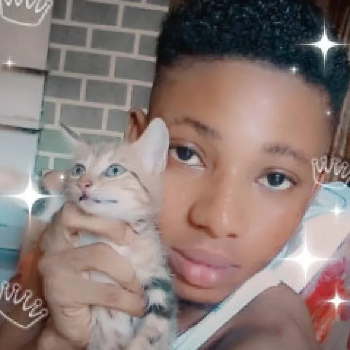 Kenny Photo On Jungo Live