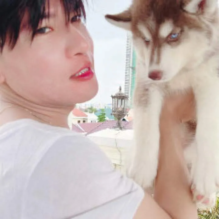 Viches Photo On Jungo Live