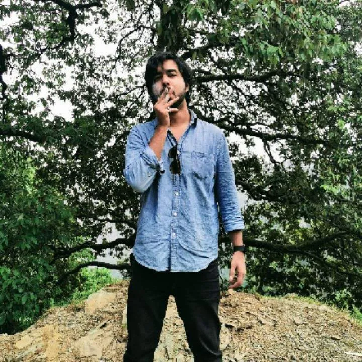 Bulldozer Photo On Jungo Live