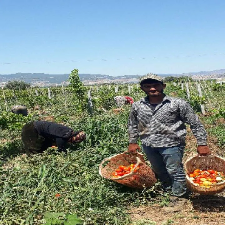 Hasan Photo On Jungo Live