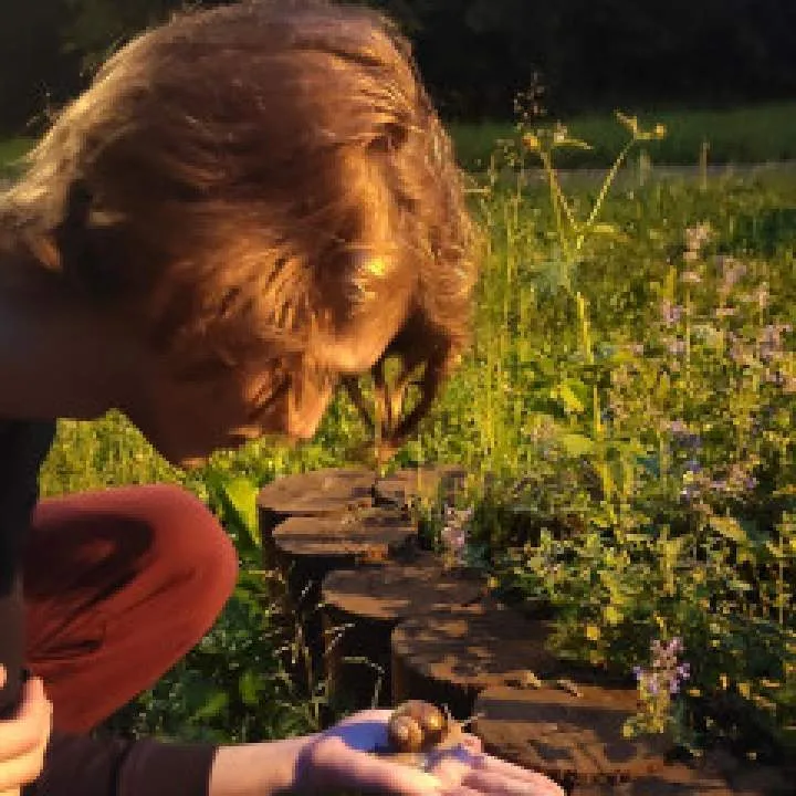 Tigrishik Photo On Jungo Live