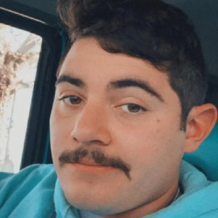 Colt......... Photo On Jungo Live