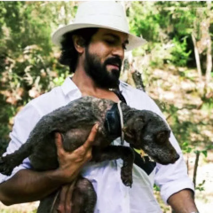 Ali Khan Photo On Jungo Live