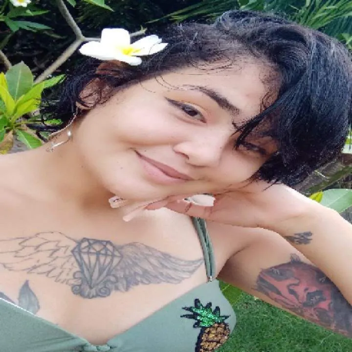 Mariposa Monarca Photo On Jungo Live