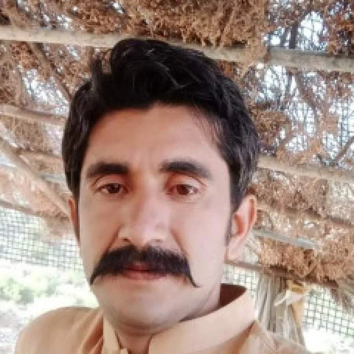 Ak Photo On Jungo Live