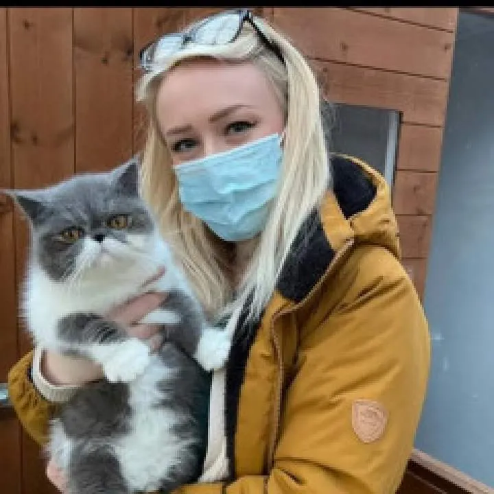 Bossgemz Photo On Jungo Live