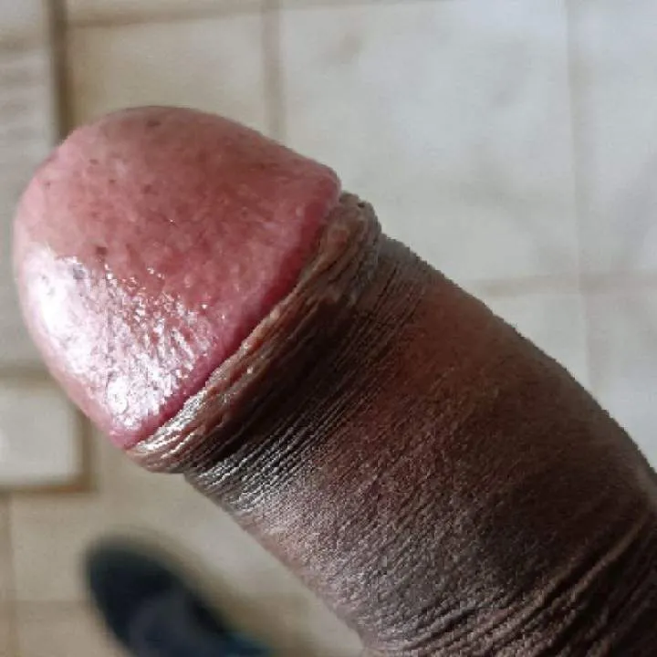 Eigteigtfregttwsvntree........ Photo On Jungo Live