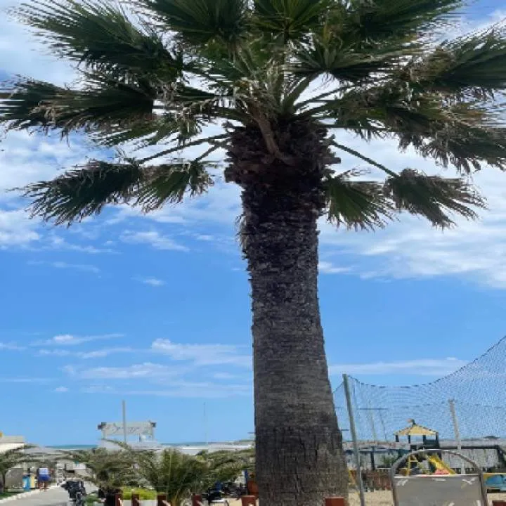 Cityboy Photo On Jungo Live