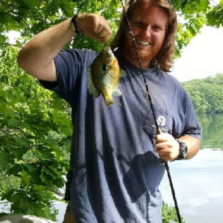 Life Of The Party Photo On Jungo Live