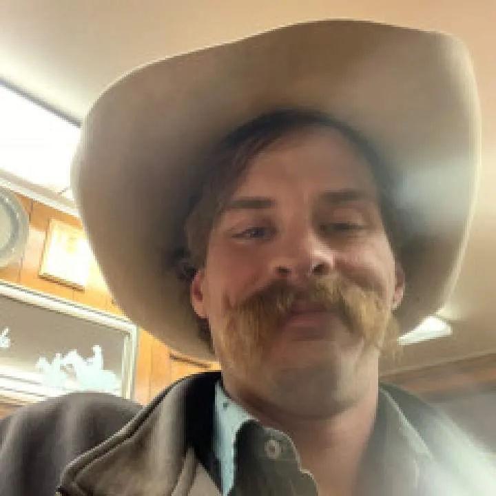 Tomcat Photo On Jungo Live