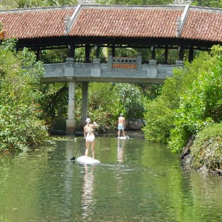 Black Swan Photo On Jungo Live