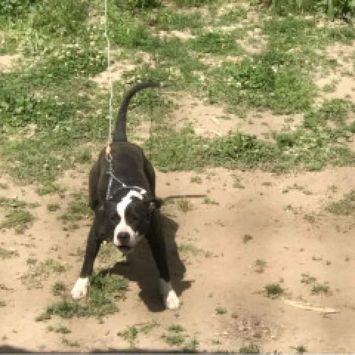 Kinda Interested Photo On Jungo Live