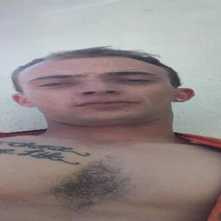 Padi Photo On Jungo Live