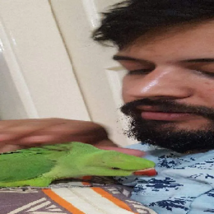 Islooguy1 Photo On Jungo Live