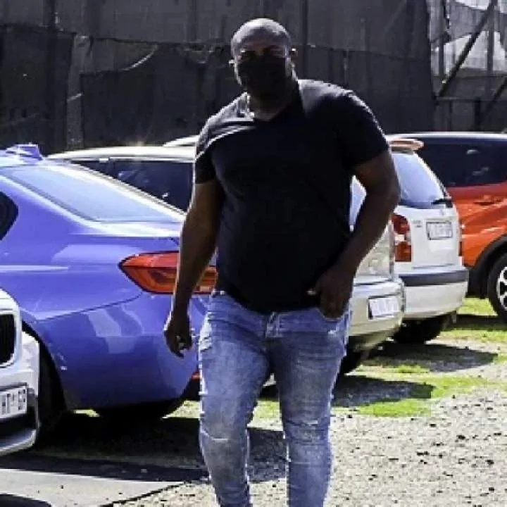 Blackbull Photo On Jungo Live