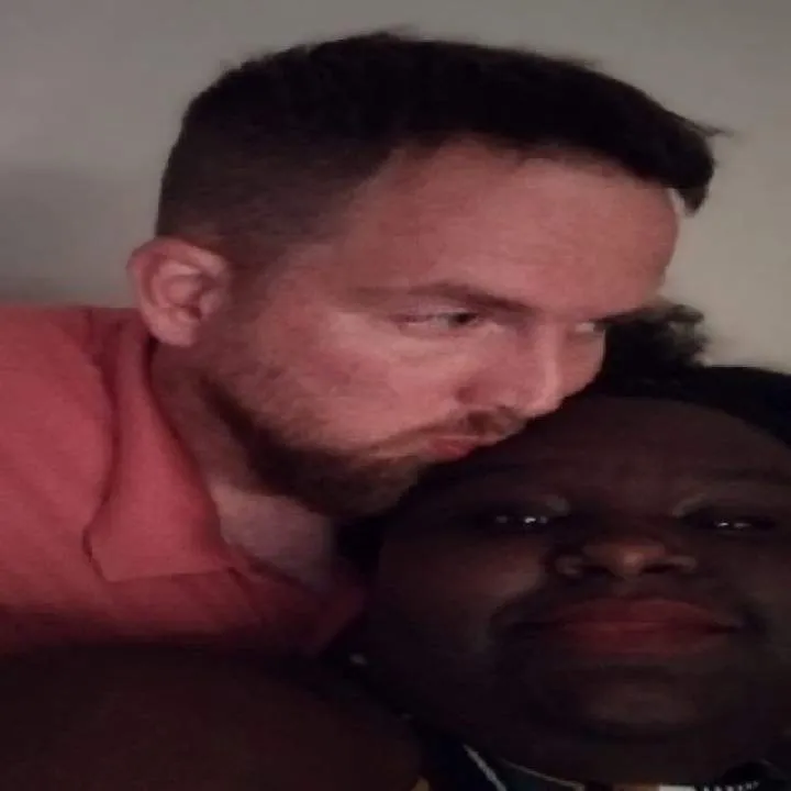 Sunflower 36 Photo On Jungo Live