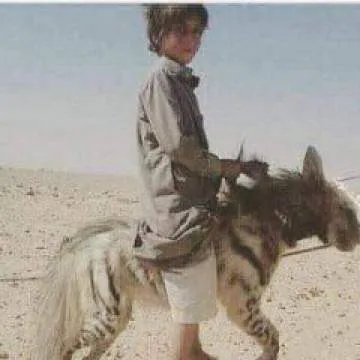 F Jan Photo On Jungo Live