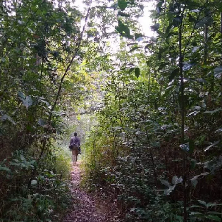 Zack_ing Photo On Jungo Live