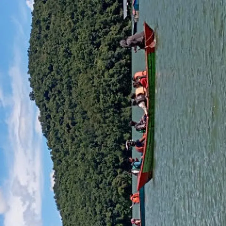 Willson Photo On Jungo Live