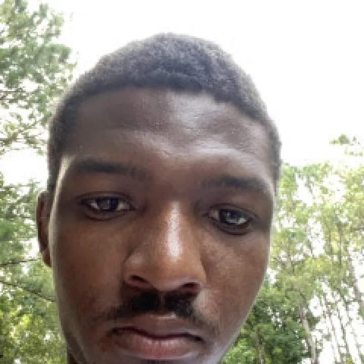 Bullfrog Photo On Jungo Live