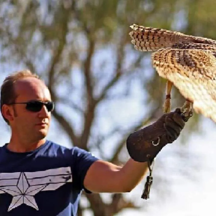 Stefanodispe Photo On Jungo Live