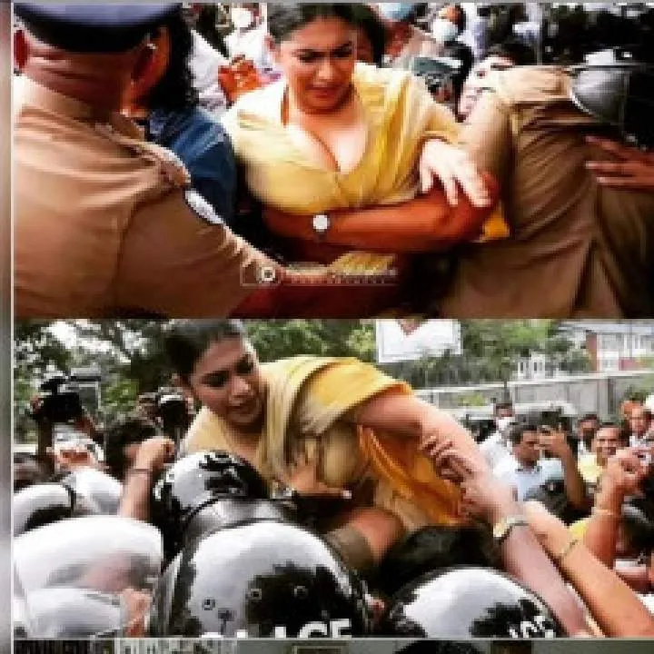 Monty Photo On Jungo Live