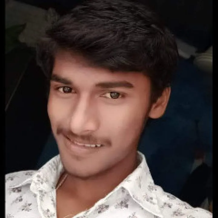 Bunny Photo On Jungo Live