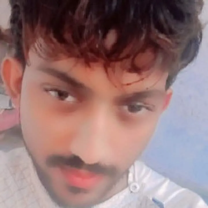 Honey Photo On Jungo Live