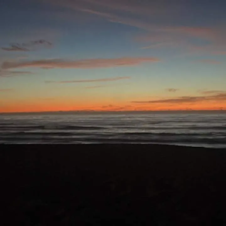 Pkxfloyd Photo On Jungo Live