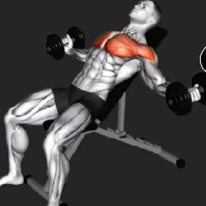 Anton Photo On Jungo Live