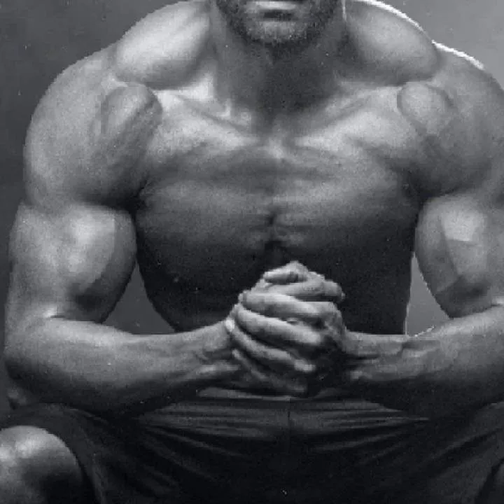 The Bull Photo On Jungo Live