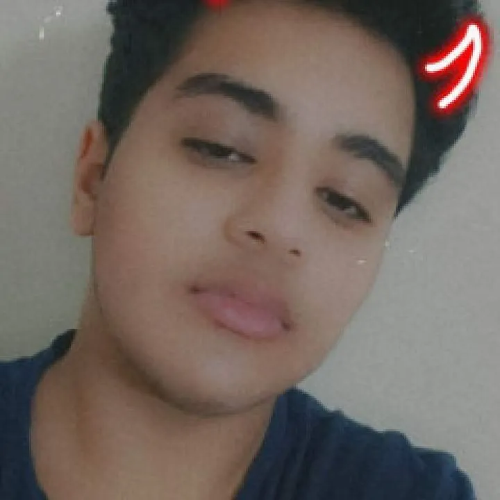 Dodo Photo On Jungo Live