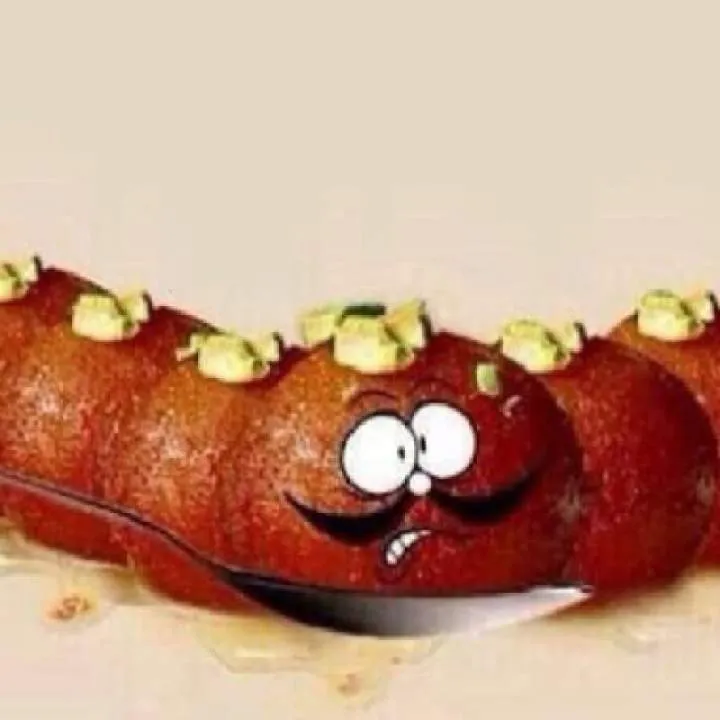 Robert Photo On Jungo Live