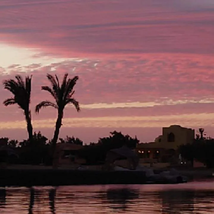 Seeker13 Photo On Jungo Live