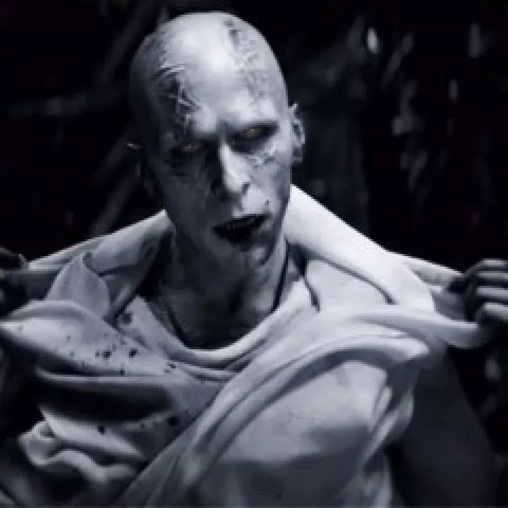 Olly.... Photo On Jungo Live