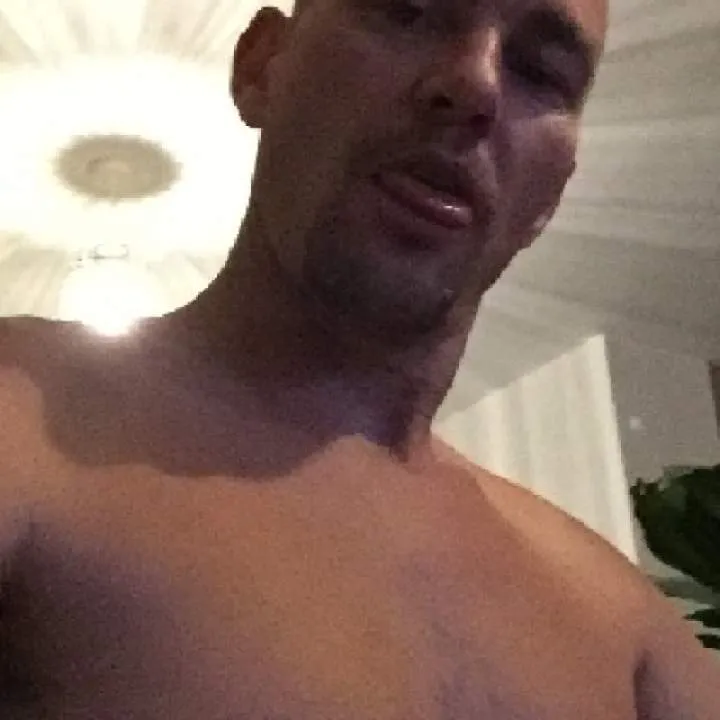 Nobearback........ Photo On Jungo Live